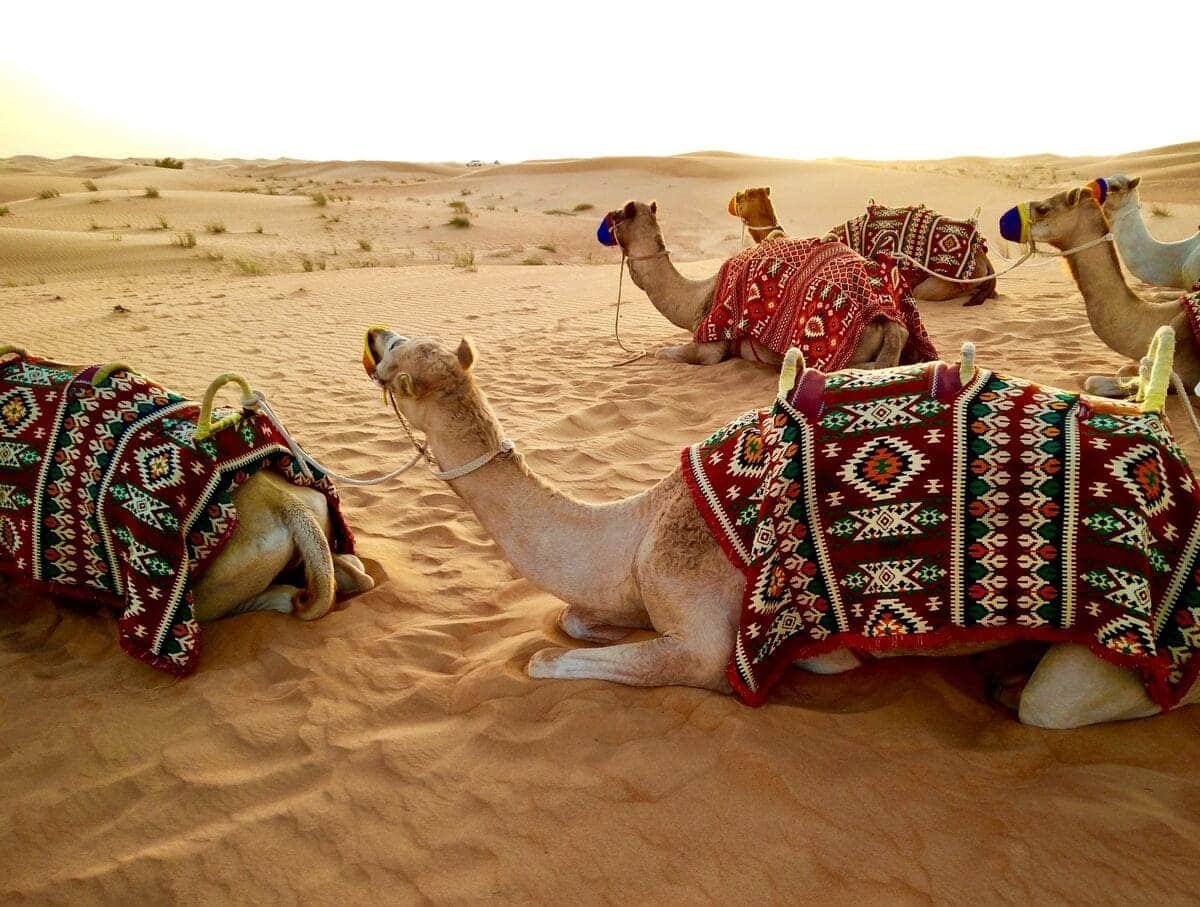 Passeport Dubaï 2026