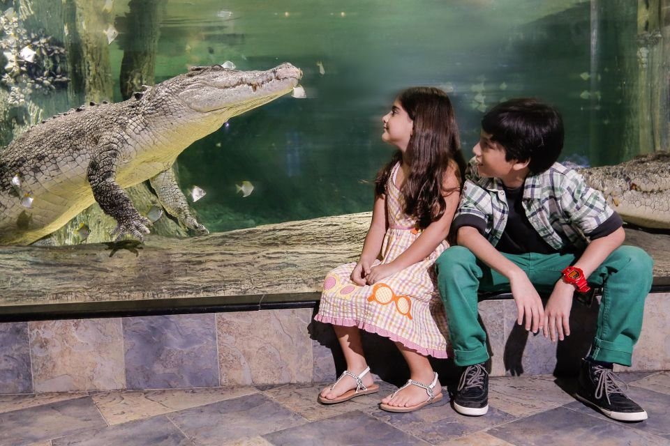 Dubai Aquarium and Underwater Zoo Tickets 2026