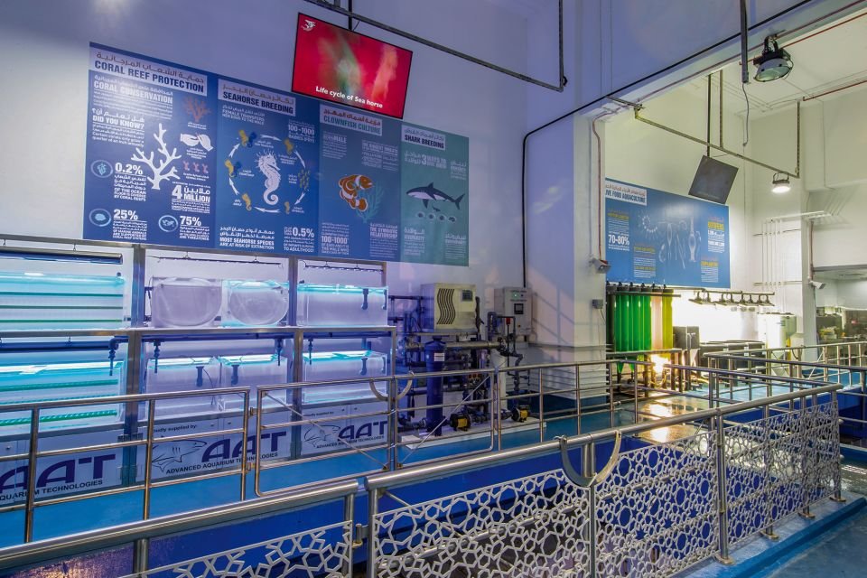 Dubai Aquarium and Underwater Zoo Tickets 2026