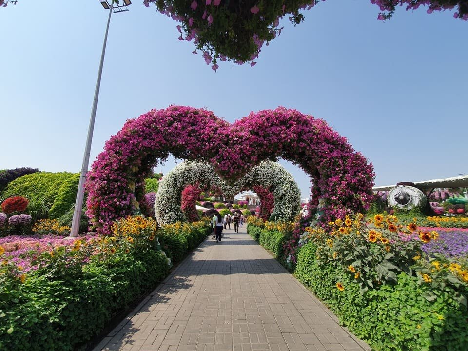 Dubai Miracle Garden Tickets 2026