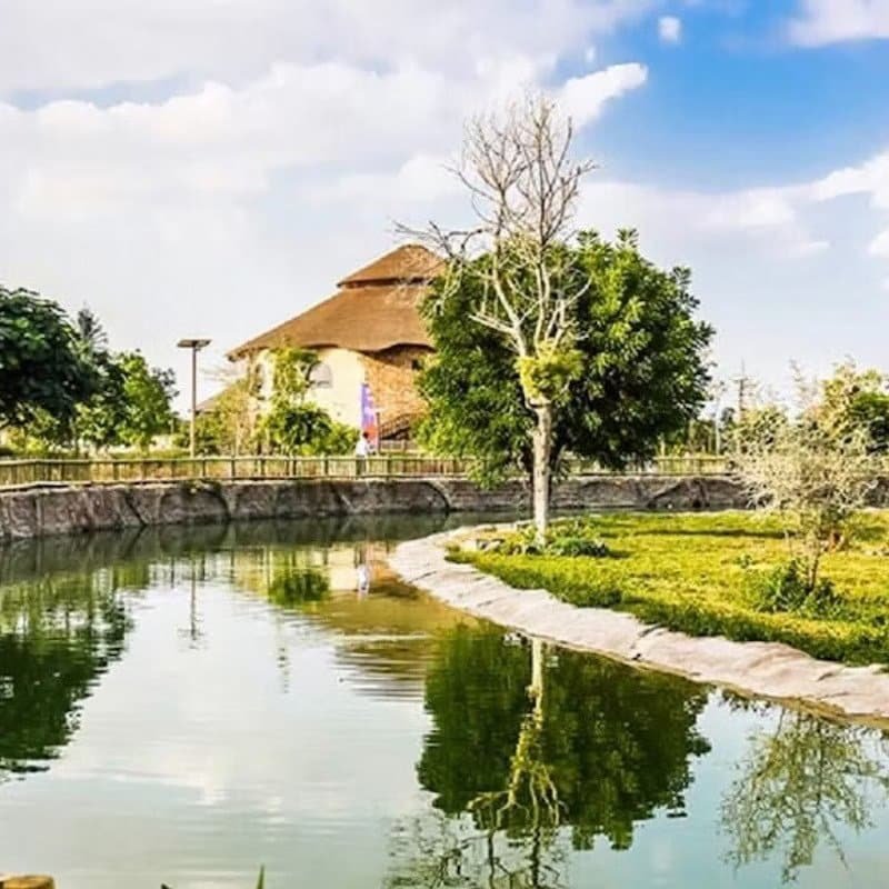 The Best Dubai Safari Park Tickets 2026