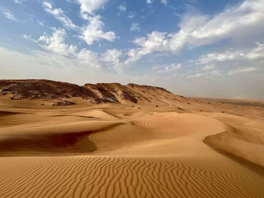 Camel Ride Dubai 2026 – Spettacolare avventura nel deserto