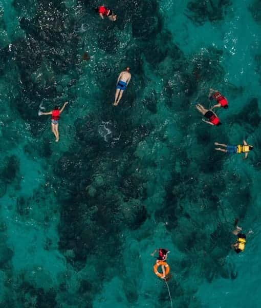 Ultimate Snorkeling in Dubai Experience 2026