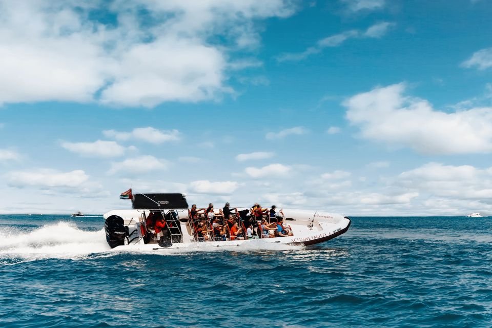 The Best Dubai Speedboat Tour 2026