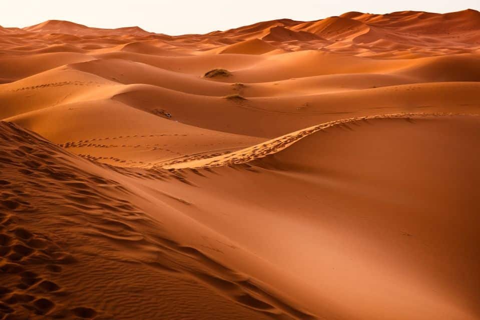 Ultimate Dune Bashing Dubai Experience 2026