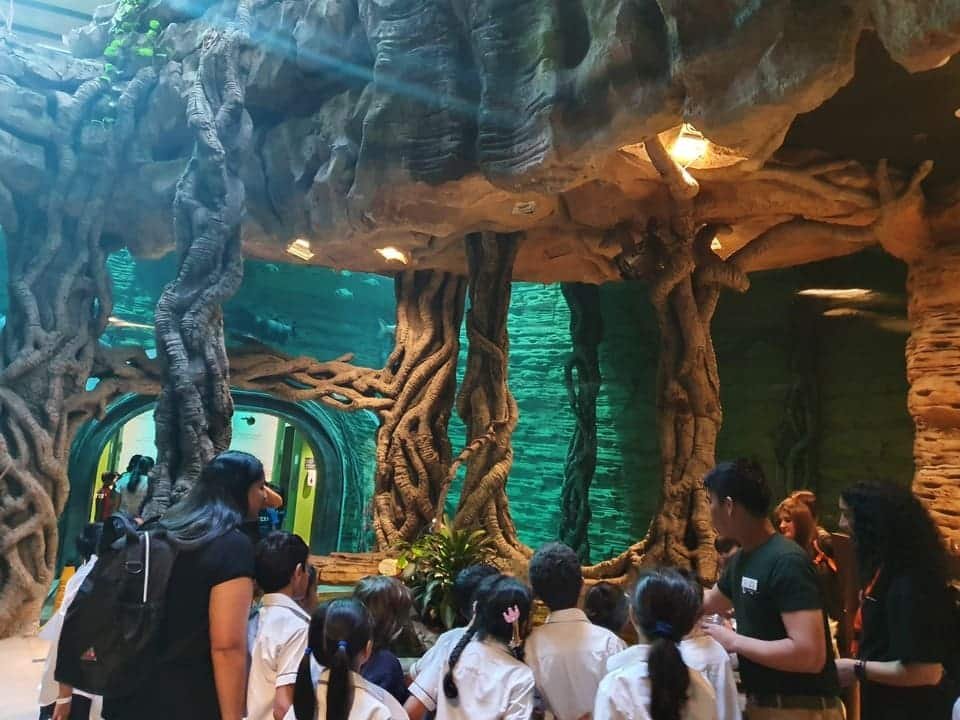 Les billets Green Planet Dubai 2026 au meilleur prix