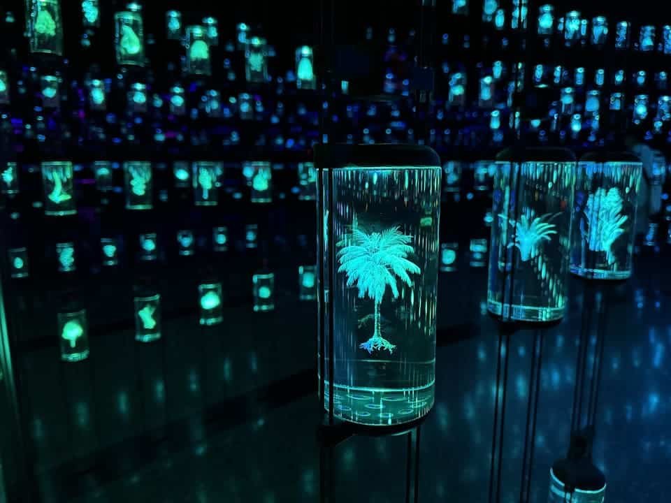 Les meilleurs billets pour le Future Museum Dubai 2026