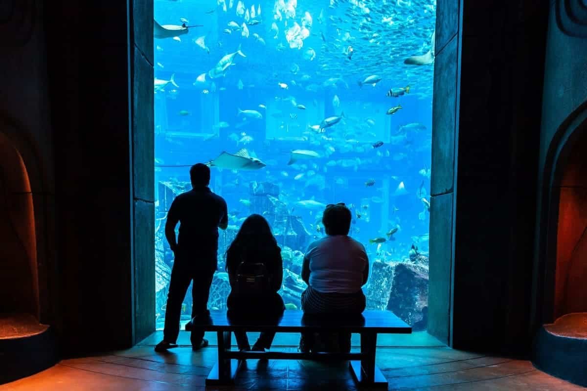 The Lost Chambers Aquarium Tickets 2026