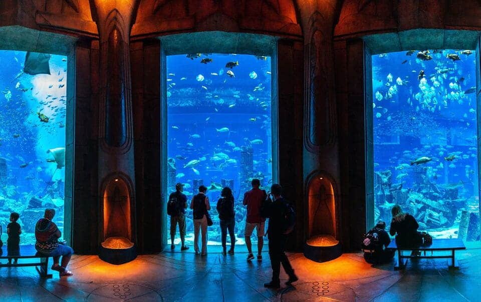 The Lost Chambers Aquarium Tickets 2026