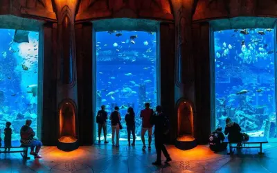 Billet til Lost Chambers Aquarium