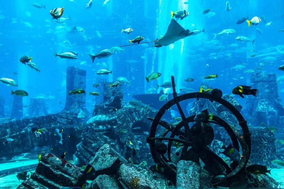 The Lost Chambers Aquarium Tickets 2026