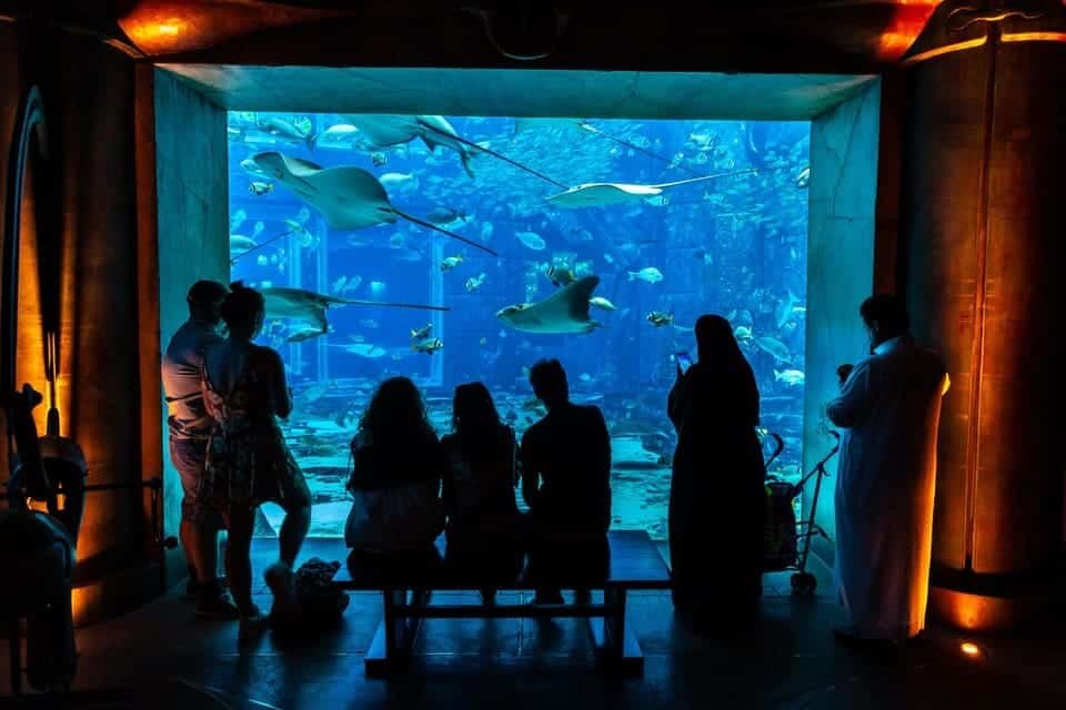 The Lost Chambers Aquarium Tickets 2026