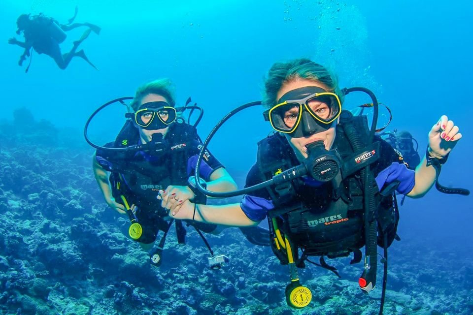 The Best Scuba Diving Dubai Experience 2026