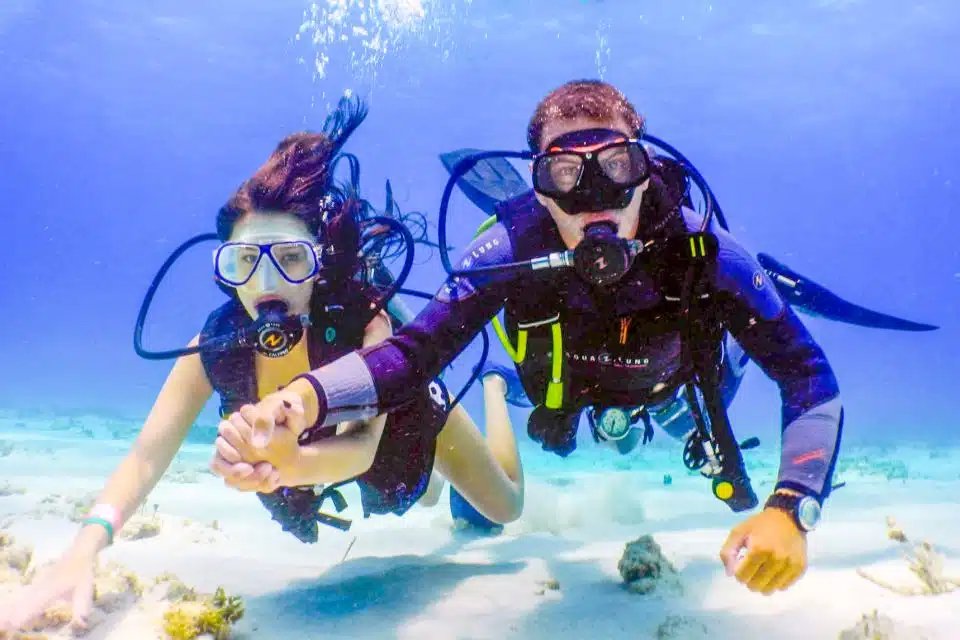 The Best Scuba Diving Dubai Experience 2026