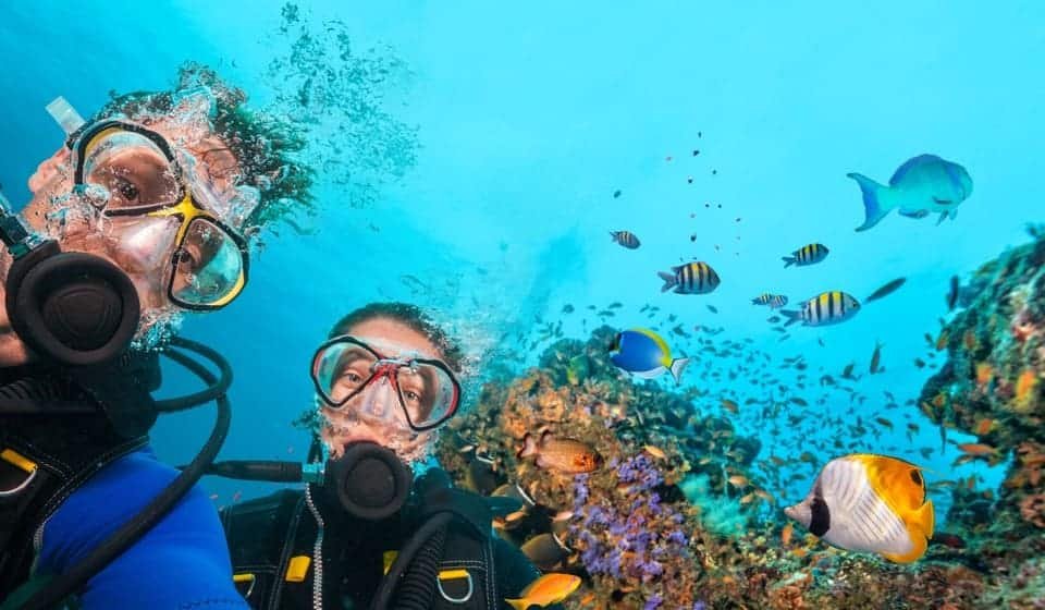 The Best Scuba Diving Dubai Experience 2026