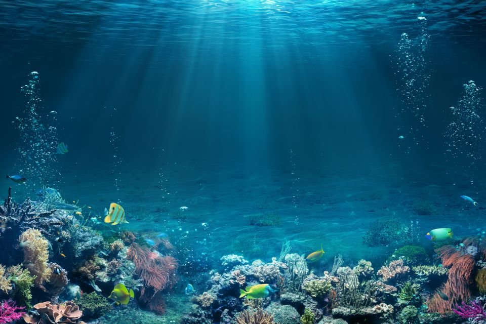 The Best Scuba Diving Dubai Experience 2026