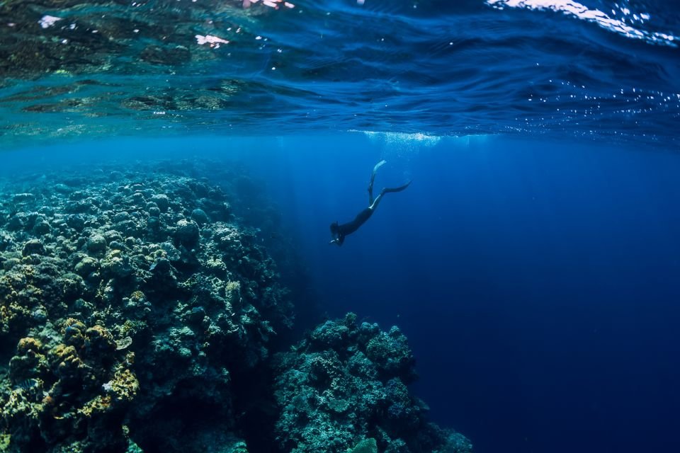 The Best Scuba Diving Dubai Experience 2026