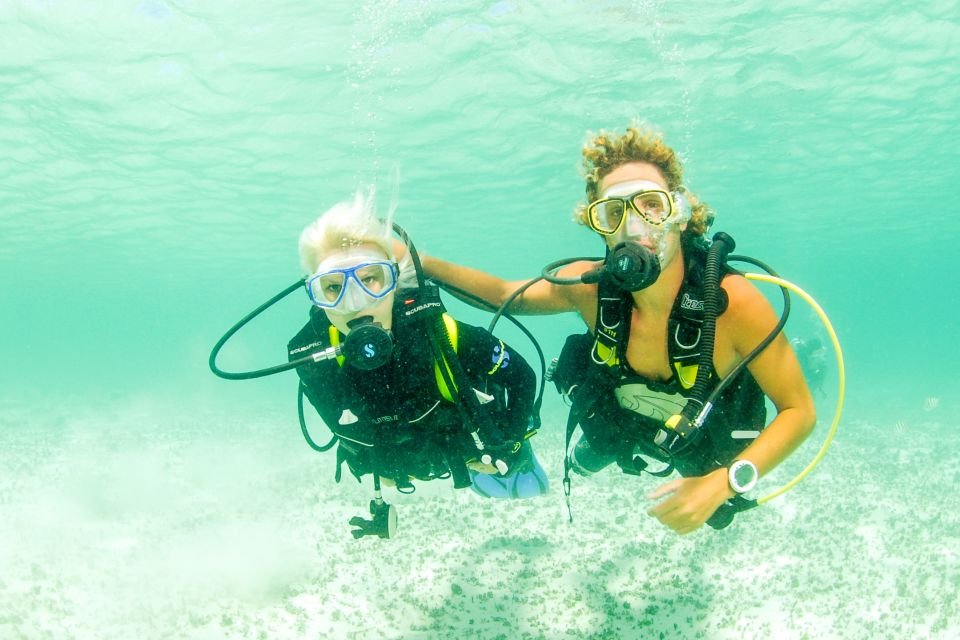 The Best Scuba Diving Dubai Experience 2026
