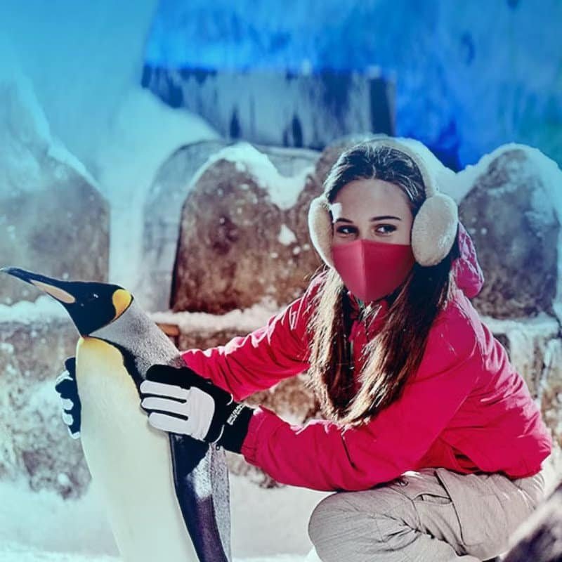 The Best Ski Dubai Tickets 2026