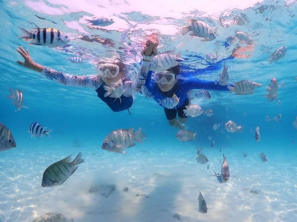Ultimate Snorkeling in Dubai Experience 2026