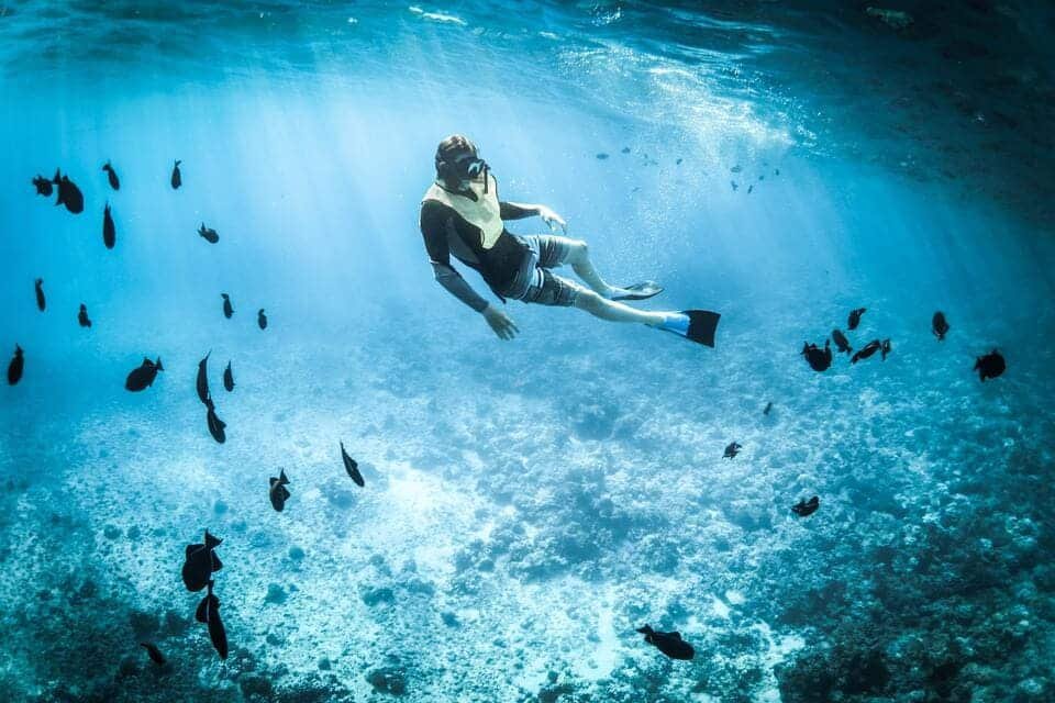 Ultimate Snorkeling in Dubai Experience 2026