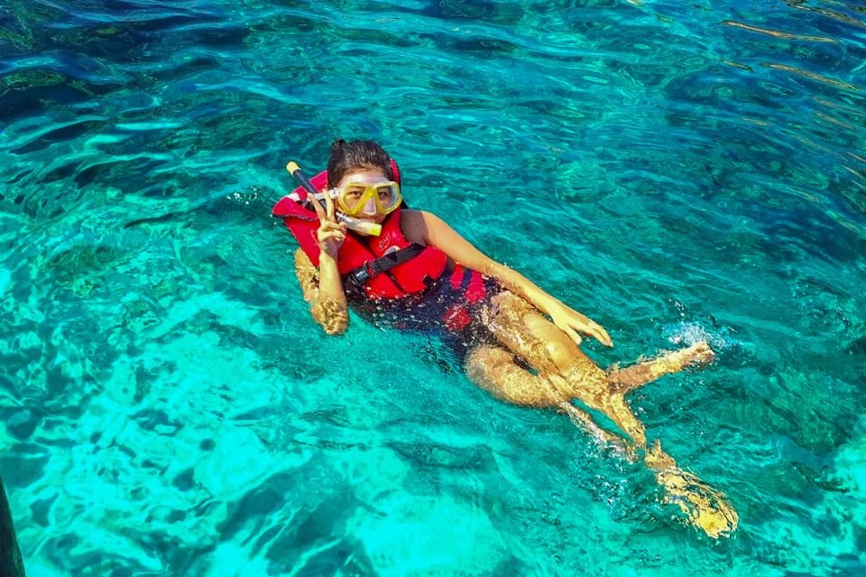 Ultimate Snorkeling in Dubai Experience 2026