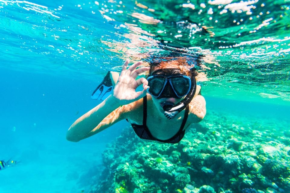 Ultimate Snorkeling in Dubai Experience 2026