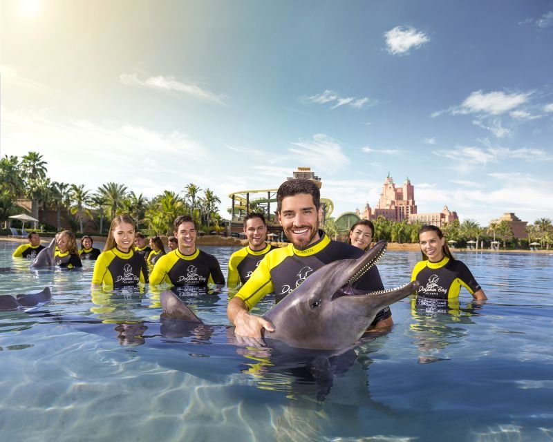 Svøm med delfiner i Dubai-billet 2026